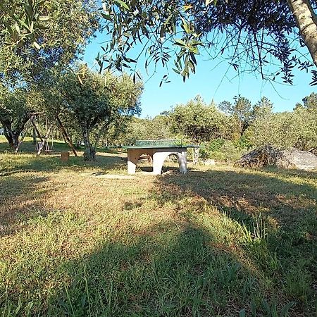 Quinta Da Pedra Mija Pension Santar Buitenkant foto