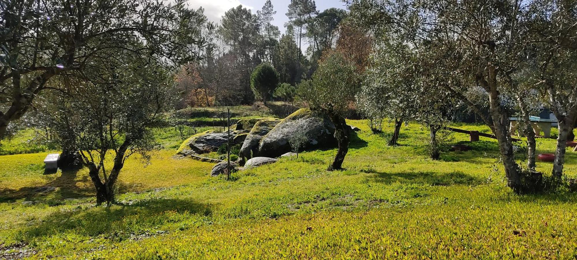 Quinta Da Pedra Mija Pension Santar Buitenkant foto