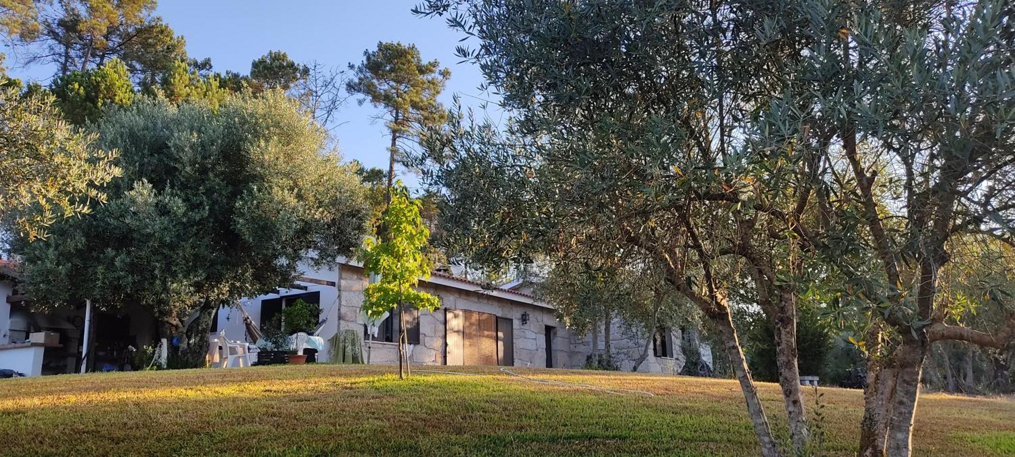 Quinta Da Pedra Mija Pension Santar Buitenkant foto