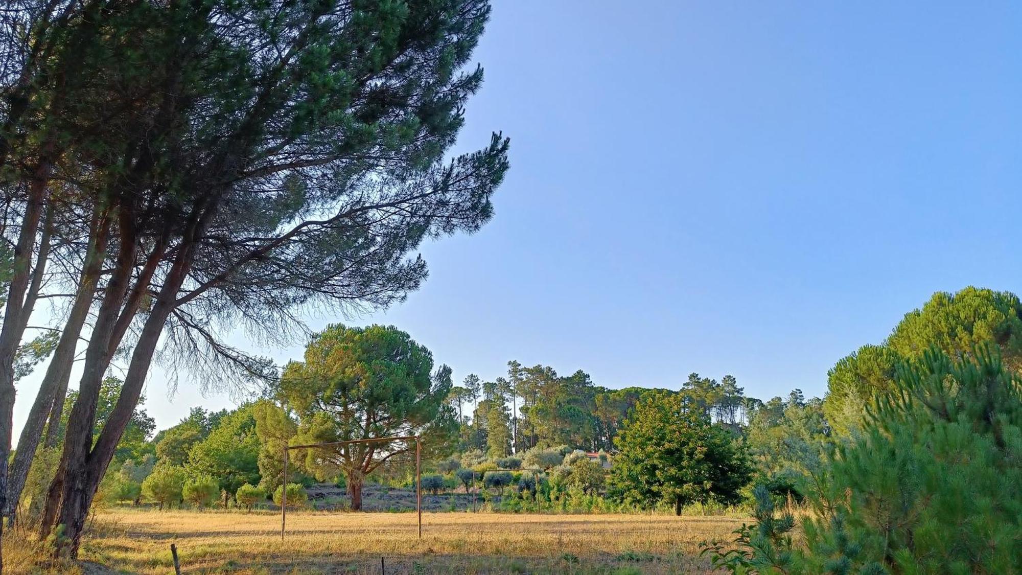Quinta Da Pedra Mija Pension Santar Buitenkant foto