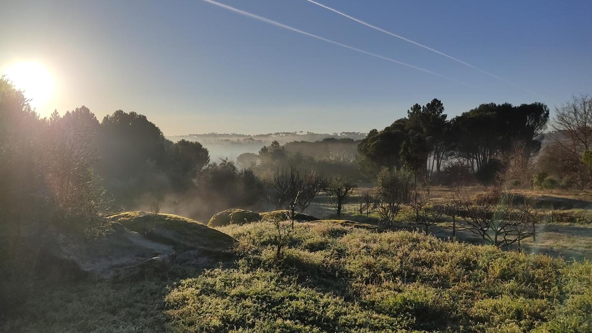 Quinta Da Pedra Mija Pension Santar Buitenkant foto