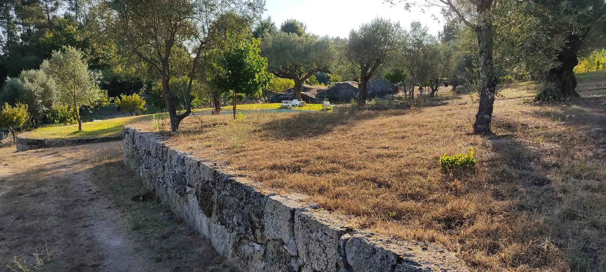 Quinta Da Pedra Mija Pension Santar Buitenkant foto