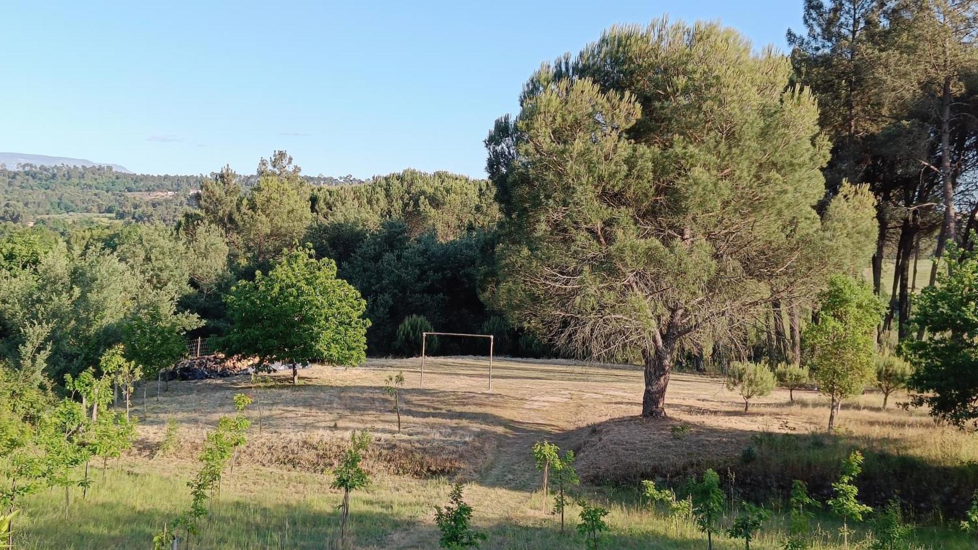 Quinta Da Pedra Mija Pension Santar Buitenkant foto