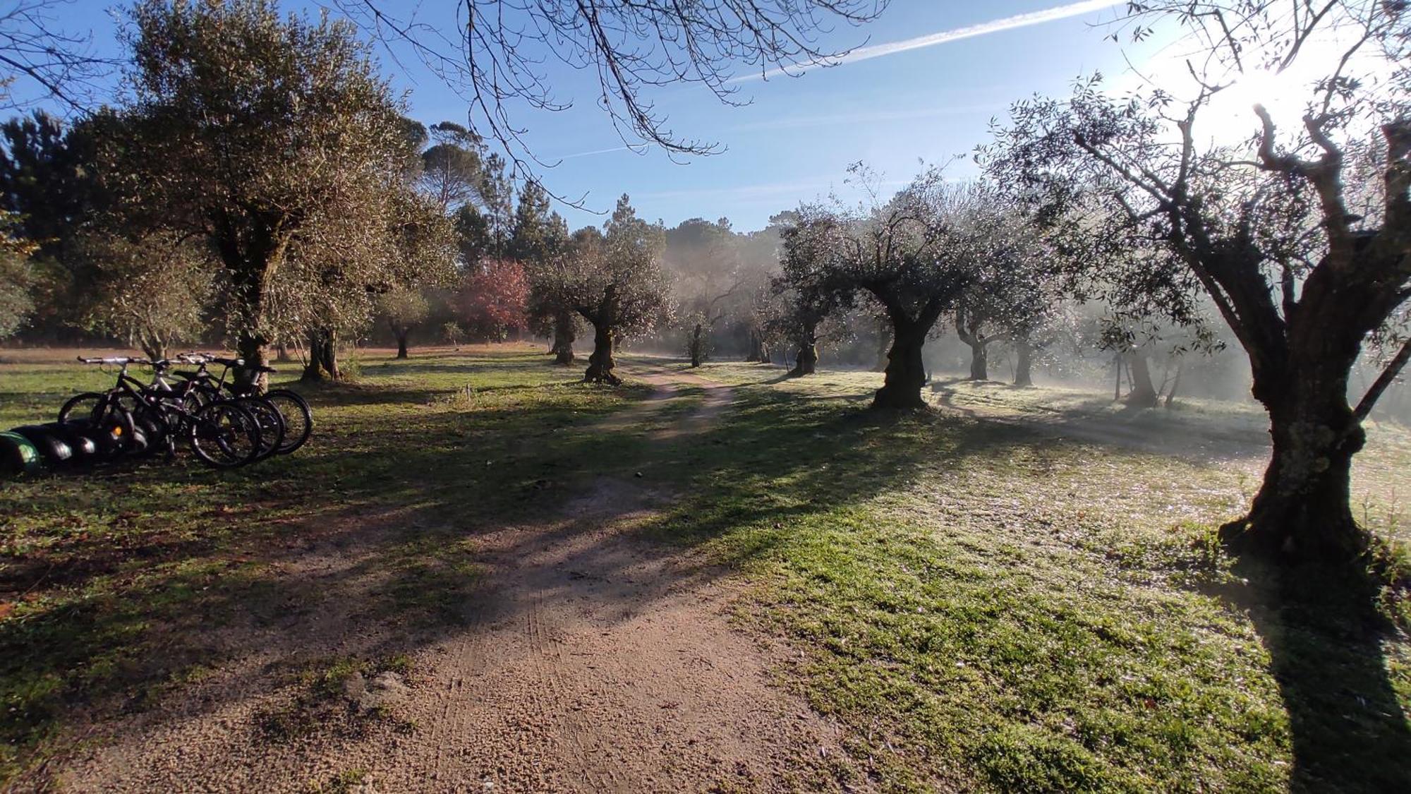 Quinta Da Pedra Mija Pension Santar Buitenkant foto
