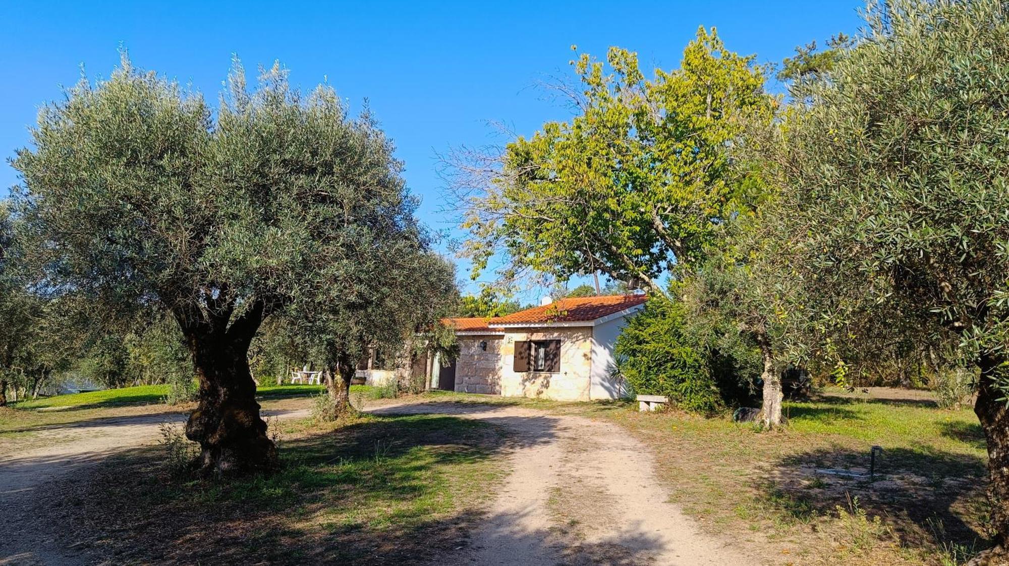 Quinta Da Pedra Mija Pension Santar Buitenkant foto