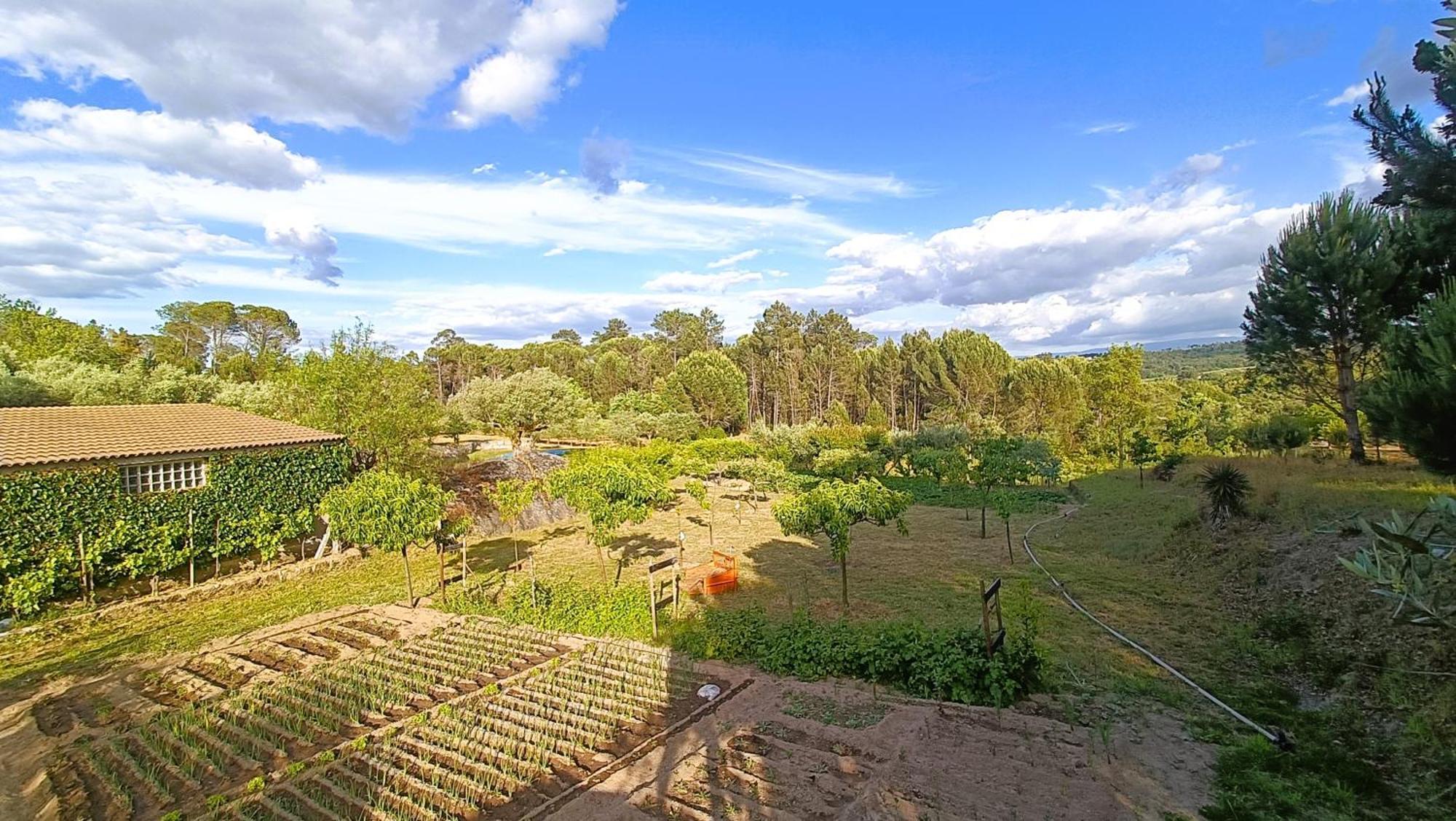 Quinta Da Pedra Mija Pension Santar Buitenkant foto