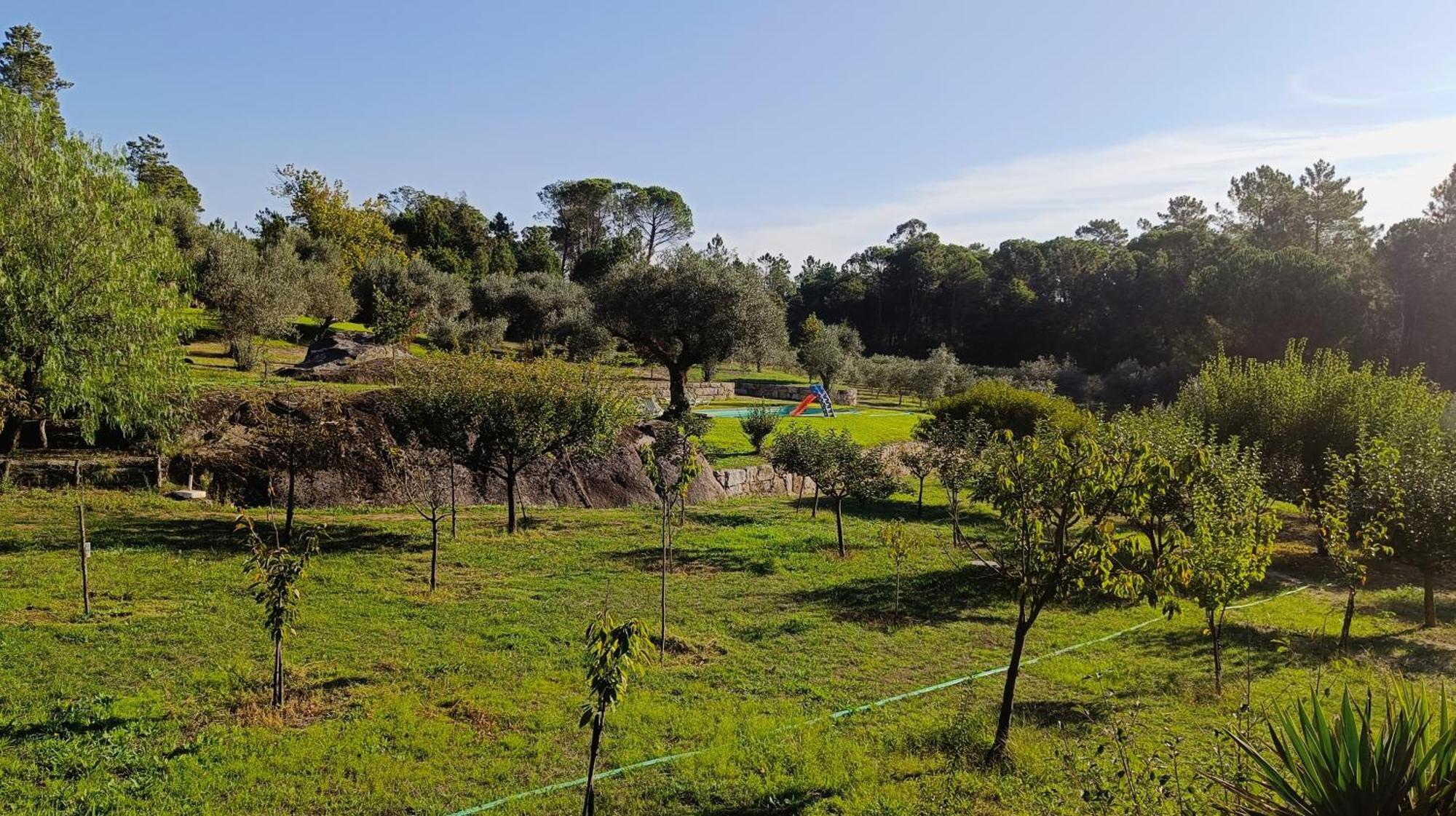 Quinta Da Pedra Mija Pension Santar Buitenkant foto