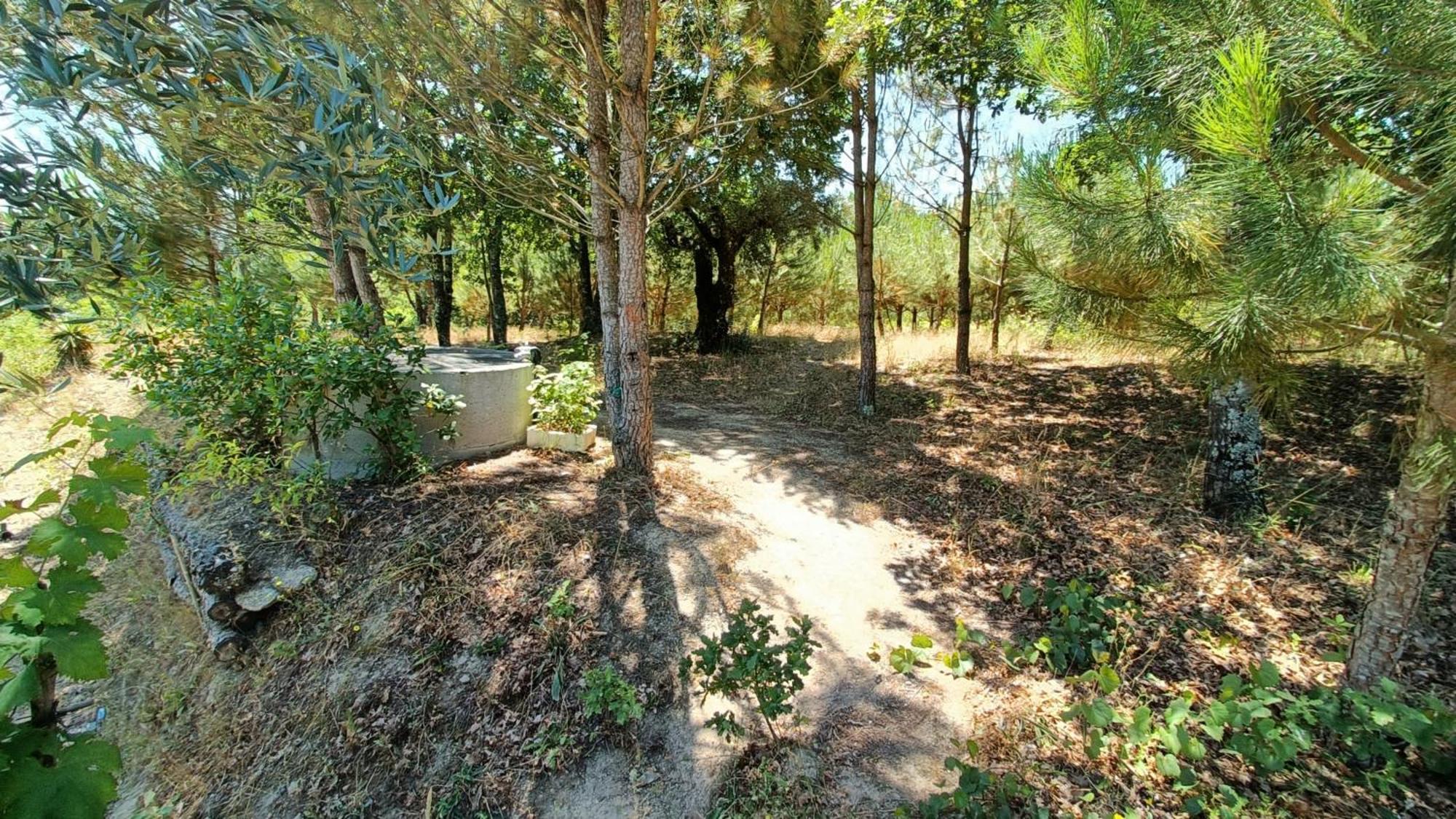 Quinta Da Pedra Mija Pension Santar Buitenkant foto