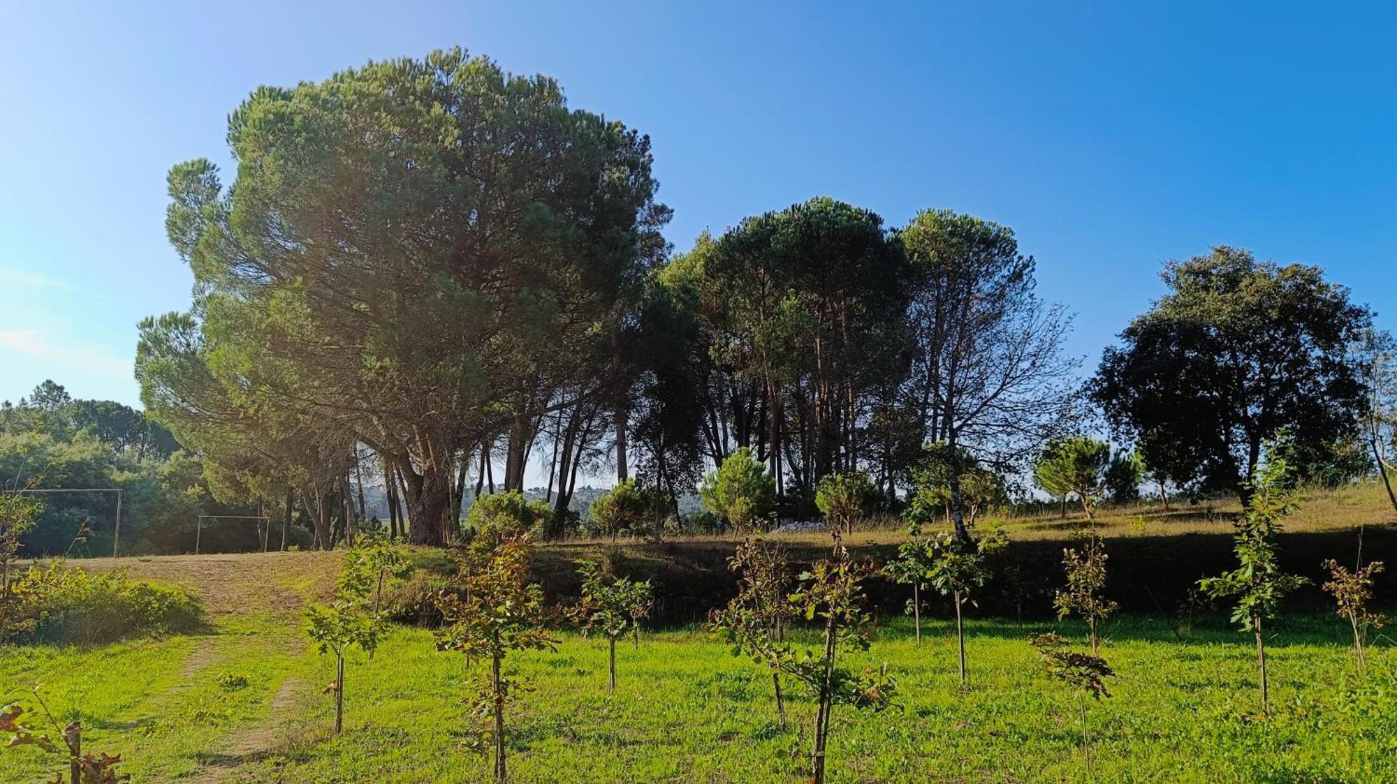 Quinta Da Pedra Mija Pension Santar Buitenkant foto