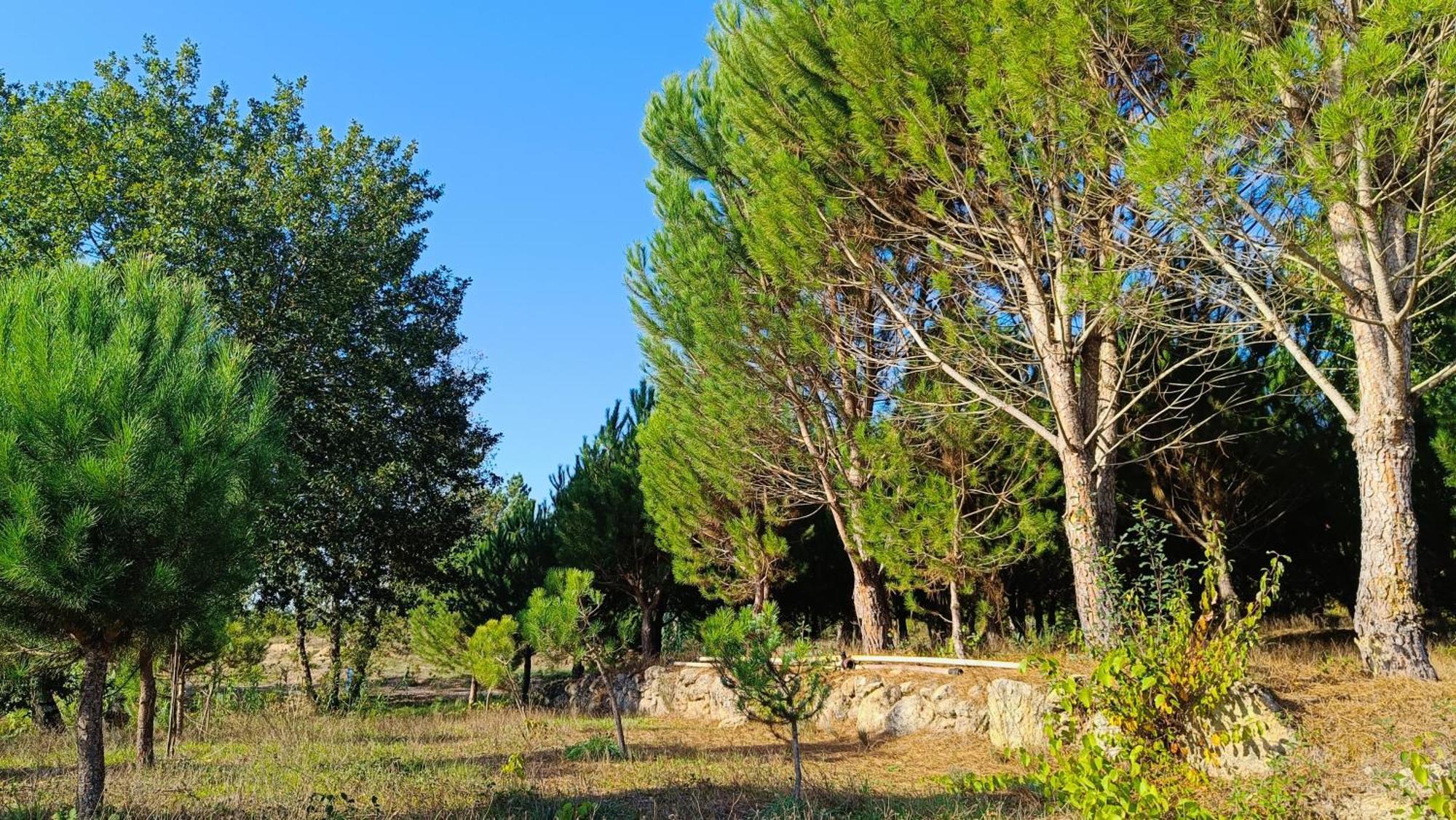 Quinta Da Pedra Mija Pension Santar Buitenkant foto