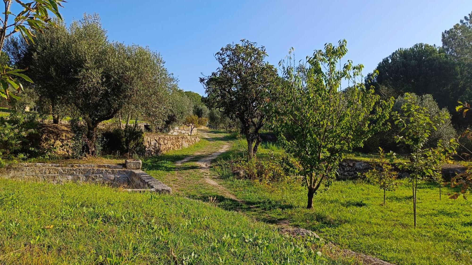 Quinta Da Pedra Mija Pension Santar Buitenkant foto