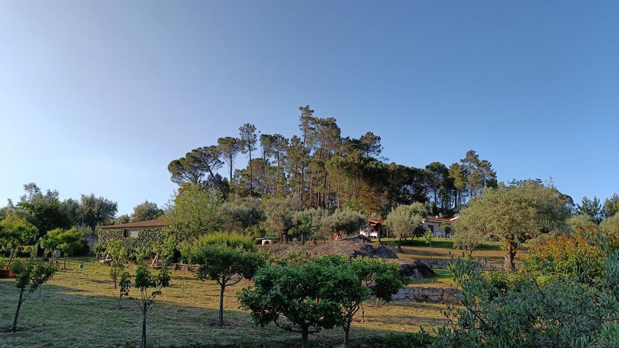 Quinta Da Pedra Mija Pension Santar Buitenkant foto