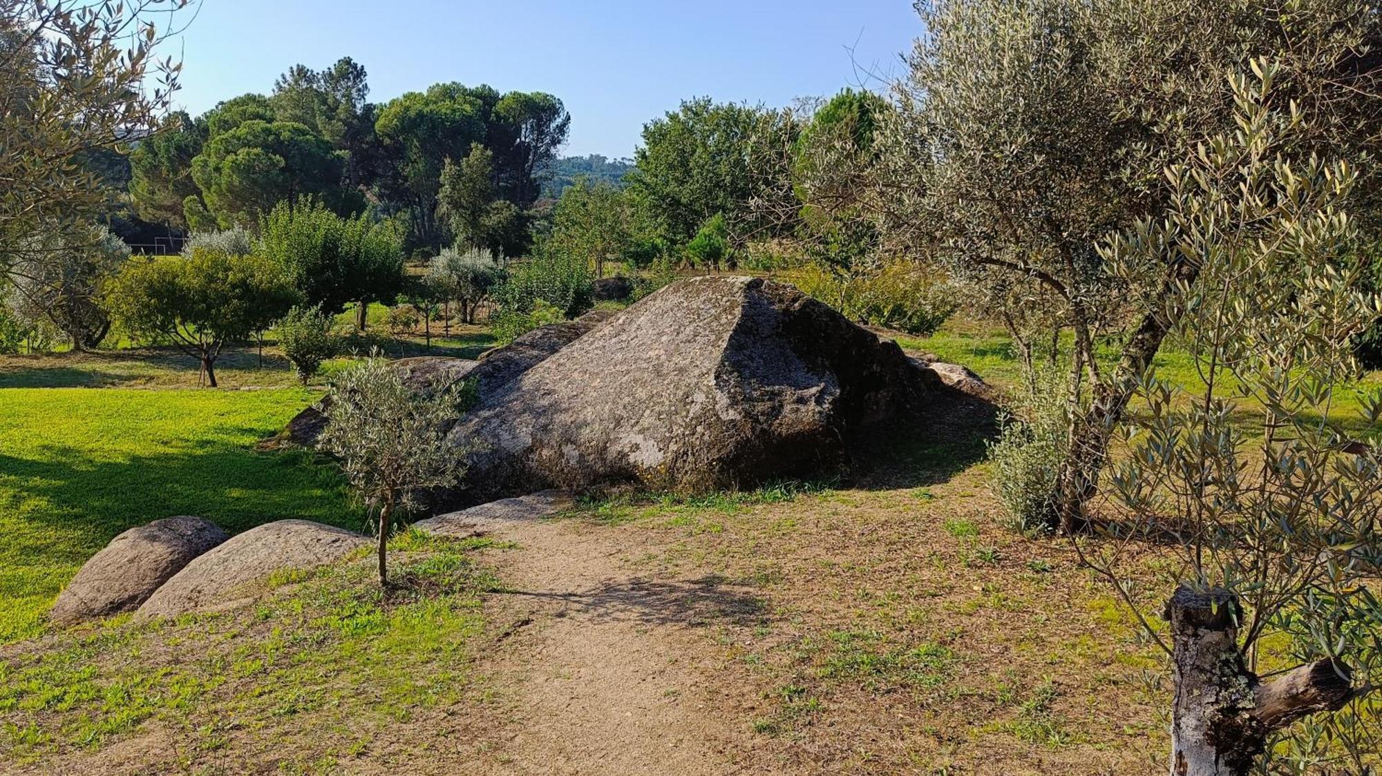 Quinta Da Pedra Mija Pension Santar Buitenkant foto