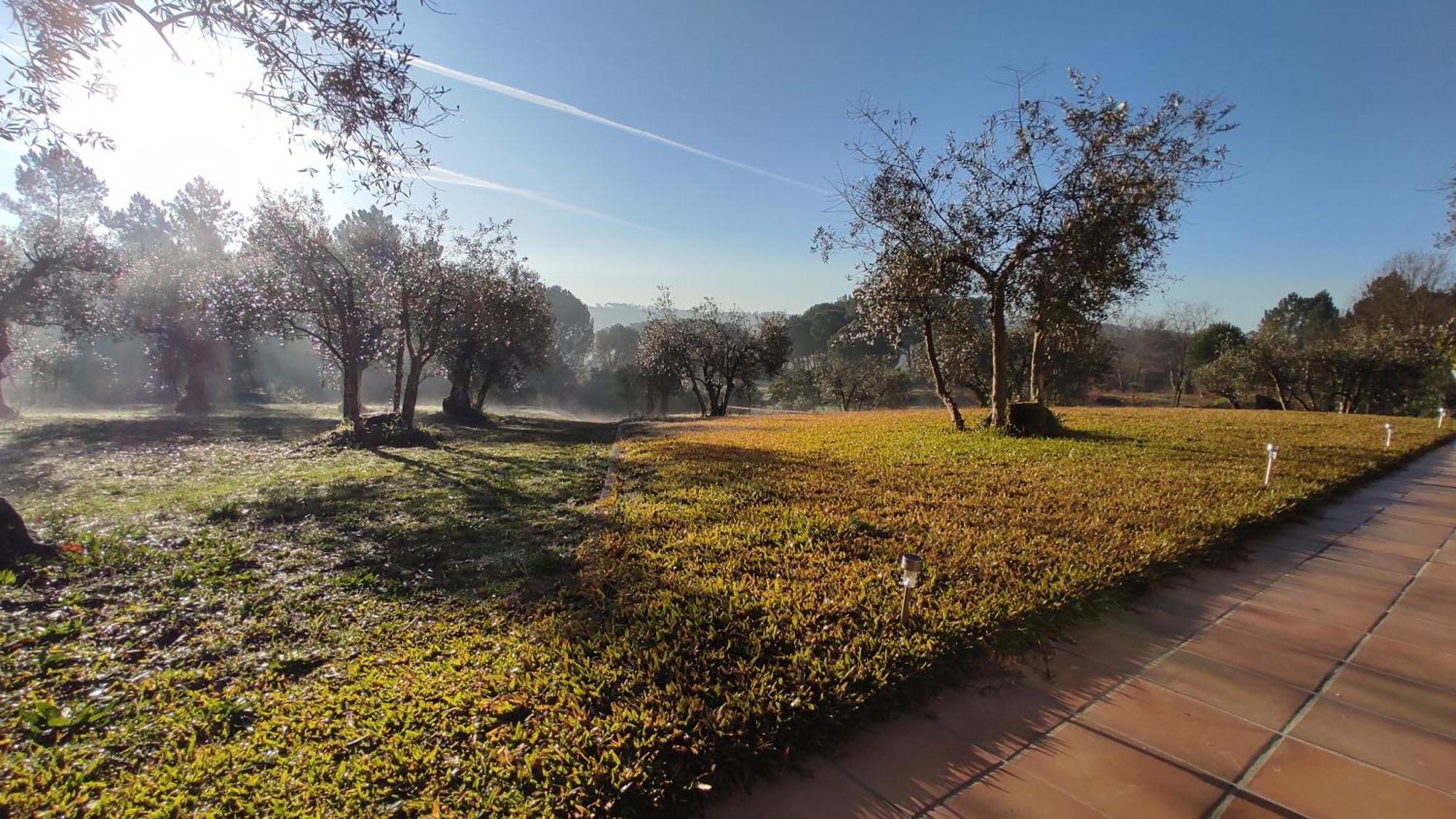 Quinta Da Pedra Mija Pension Santar Buitenkant foto