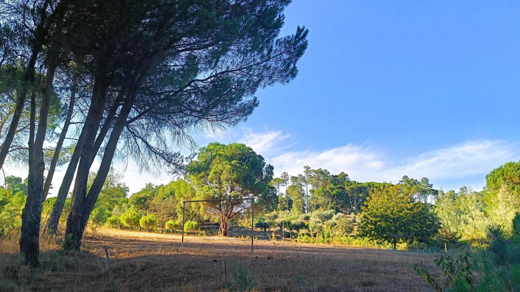 Quinta Da Pedra Mija Pension Santar Buitenkant foto
