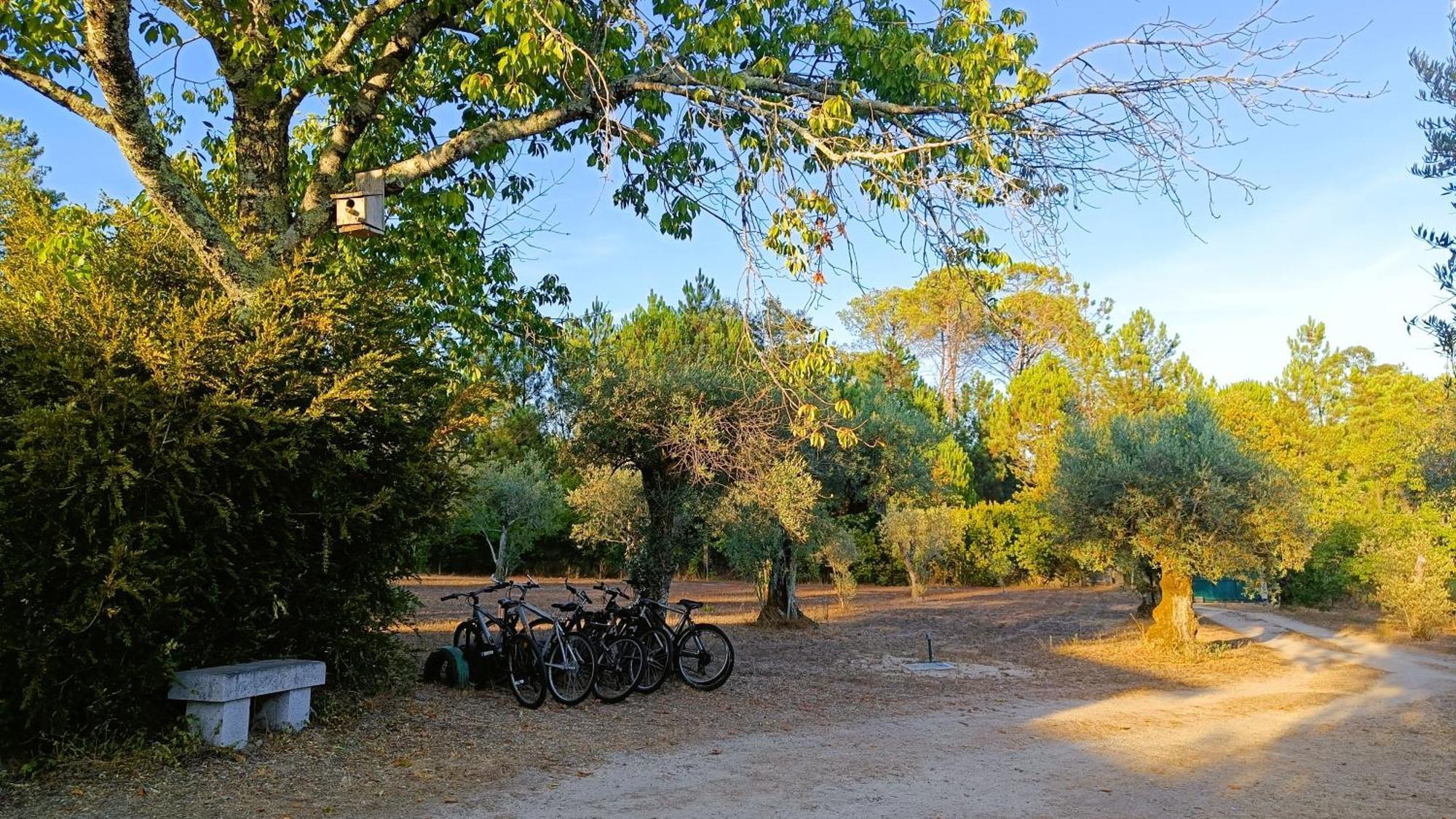Quinta Da Pedra Mija Pension Santar Buitenkant foto