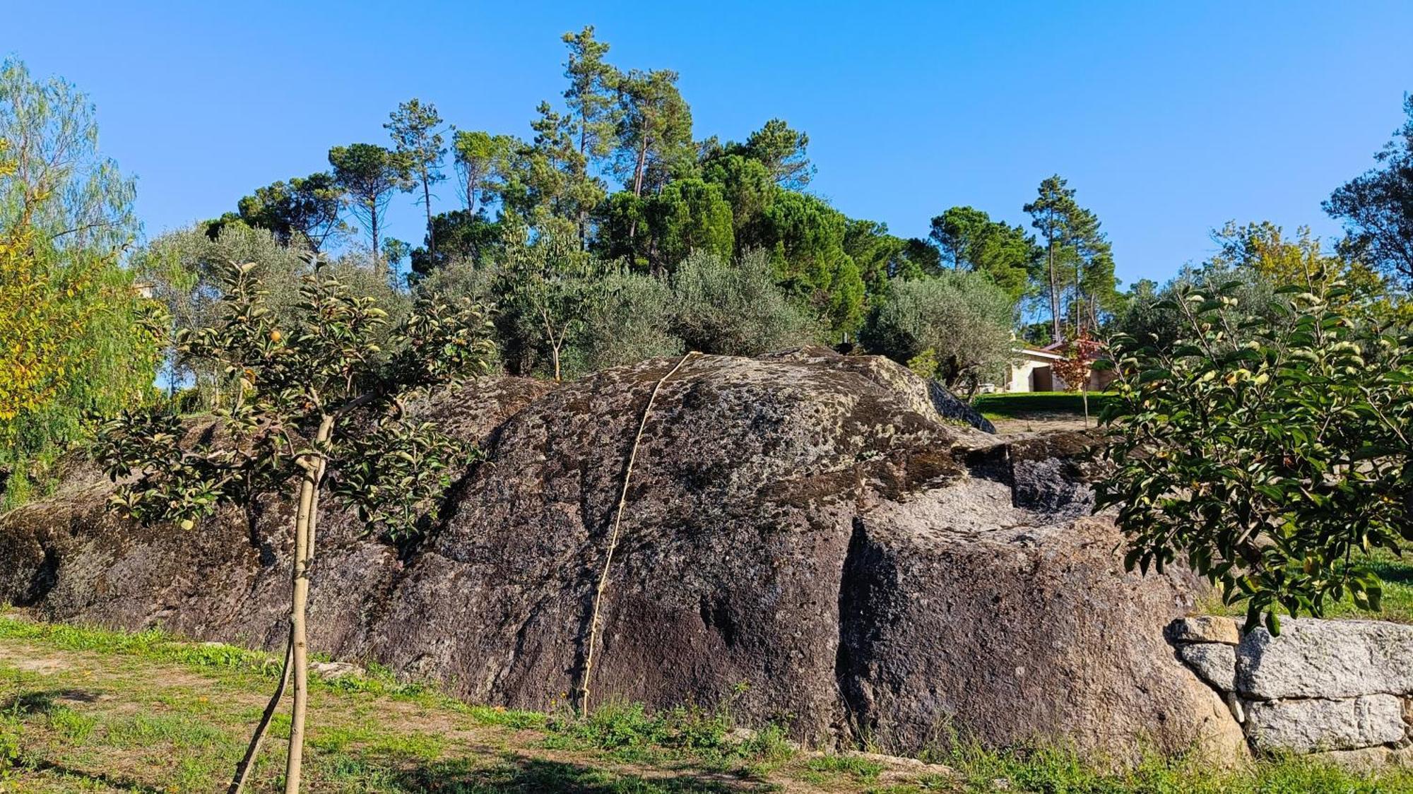 Quinta Da Pedra Mija Pension Santar Buitenkant foto