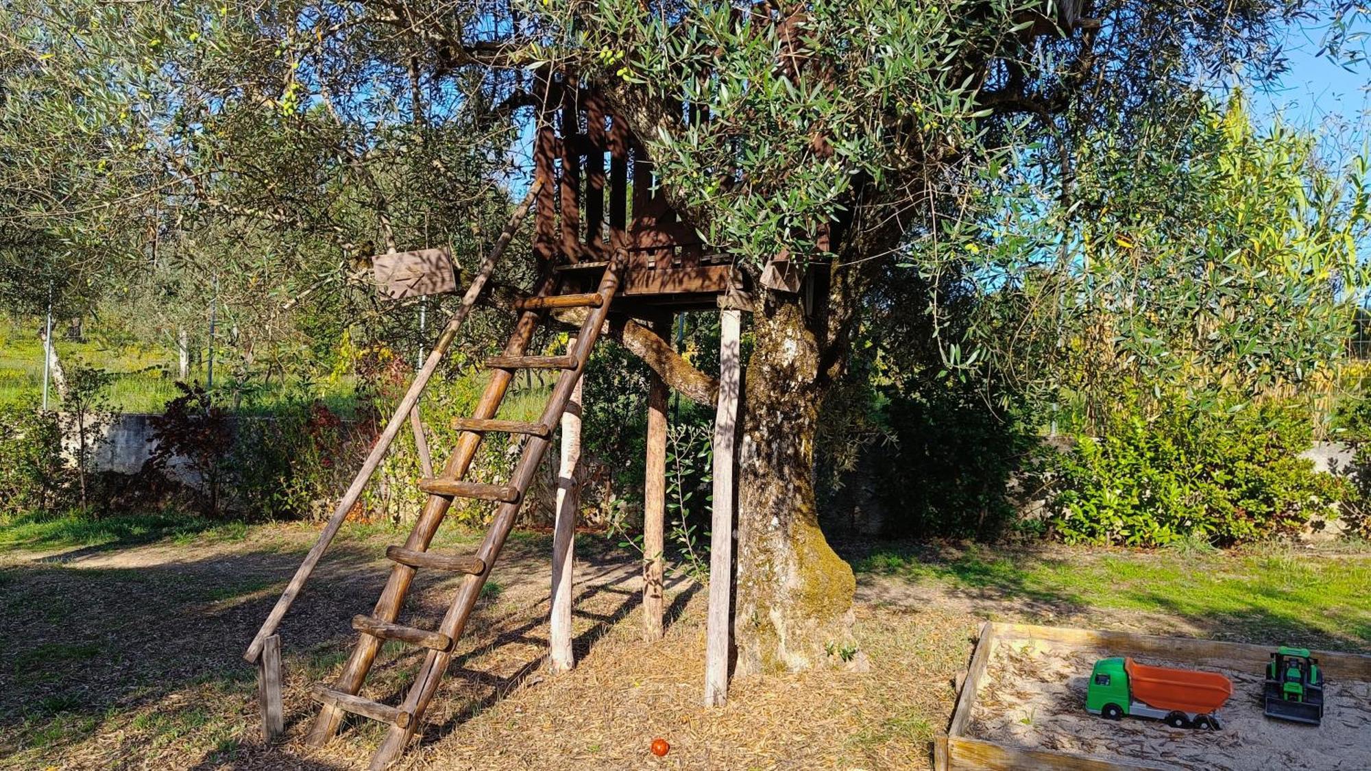 Quinta Da Pedra Mija Pension Santar Buitenkant foto