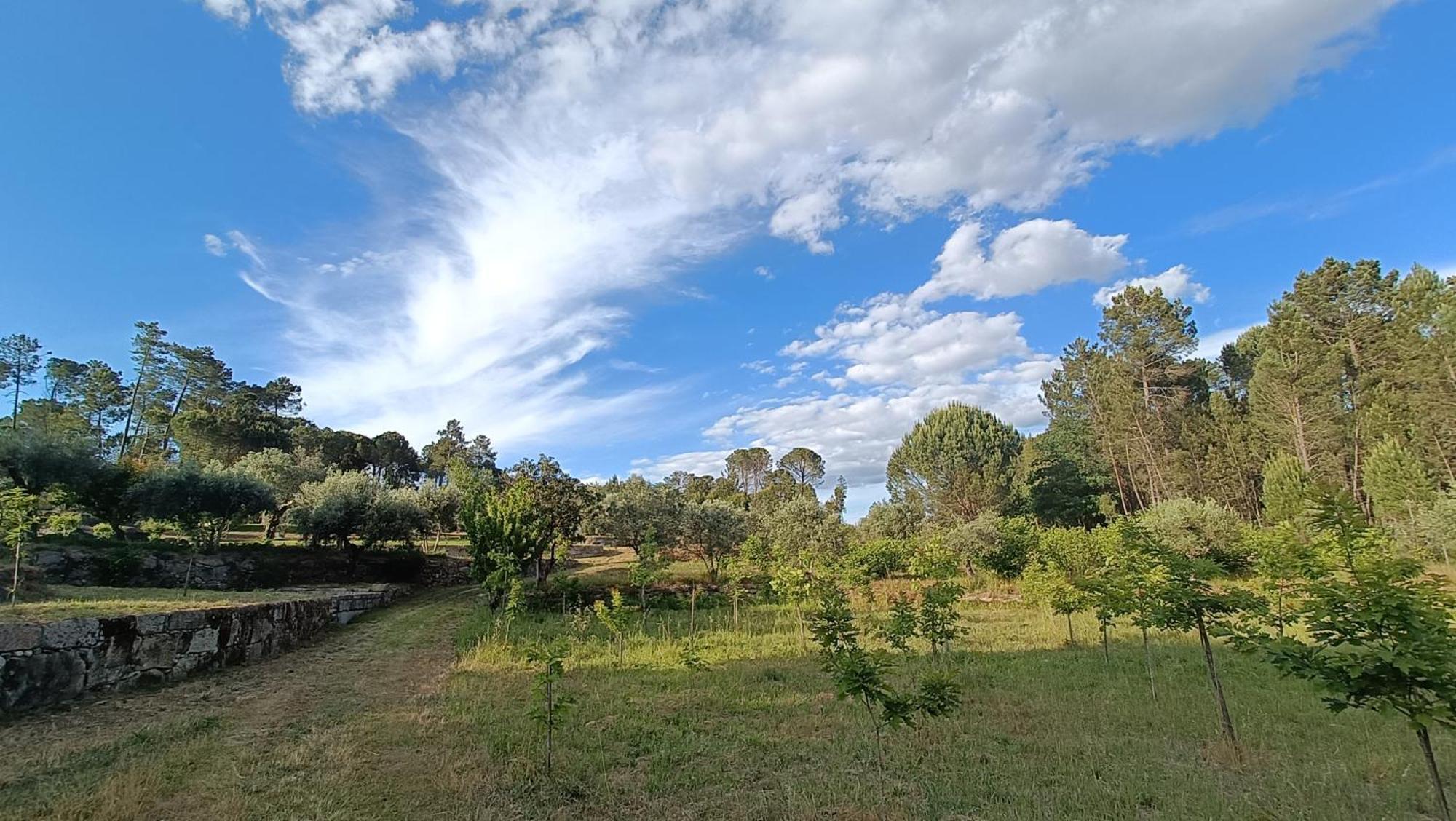 Quinta Da Pedra Mija Pension Santar Buitenkant foto