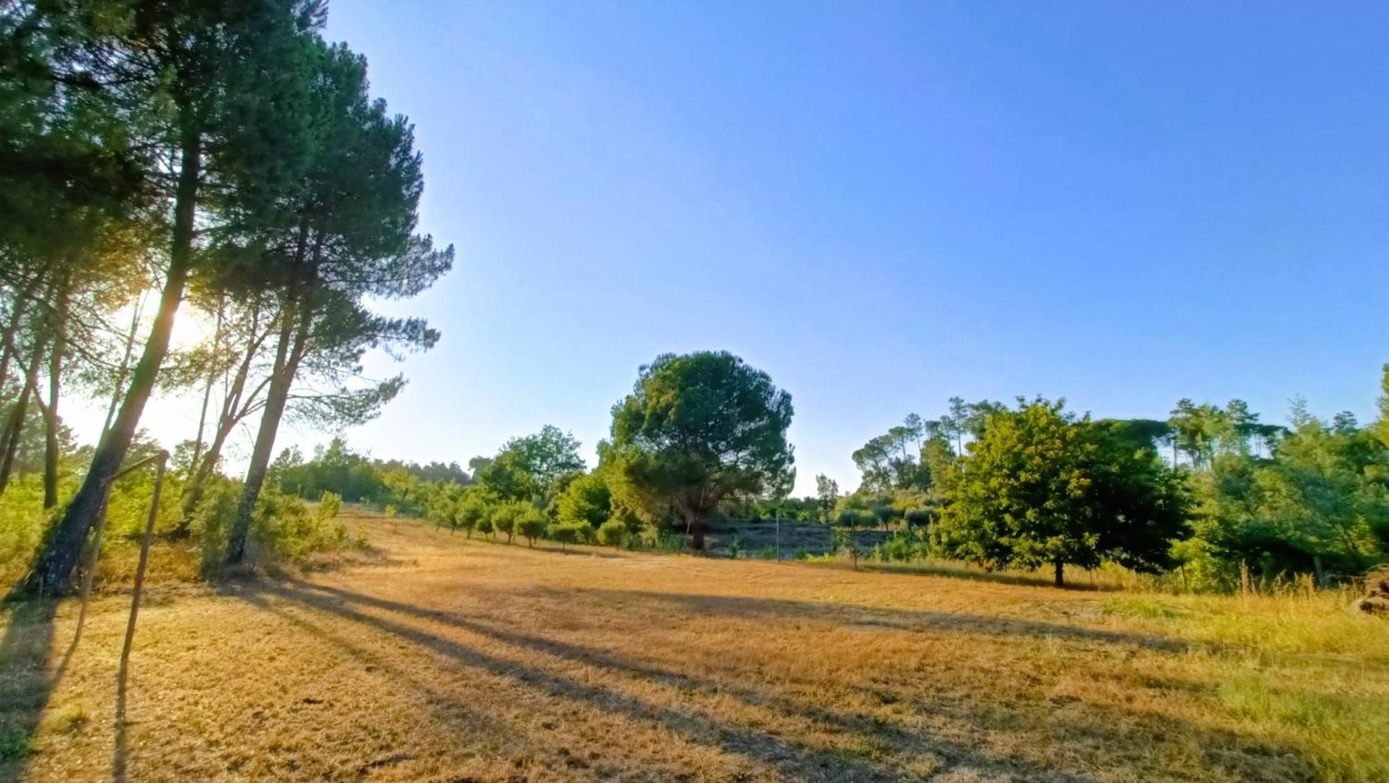 Quinta Da Pedra Mija Pension Santar Buitenkant foto