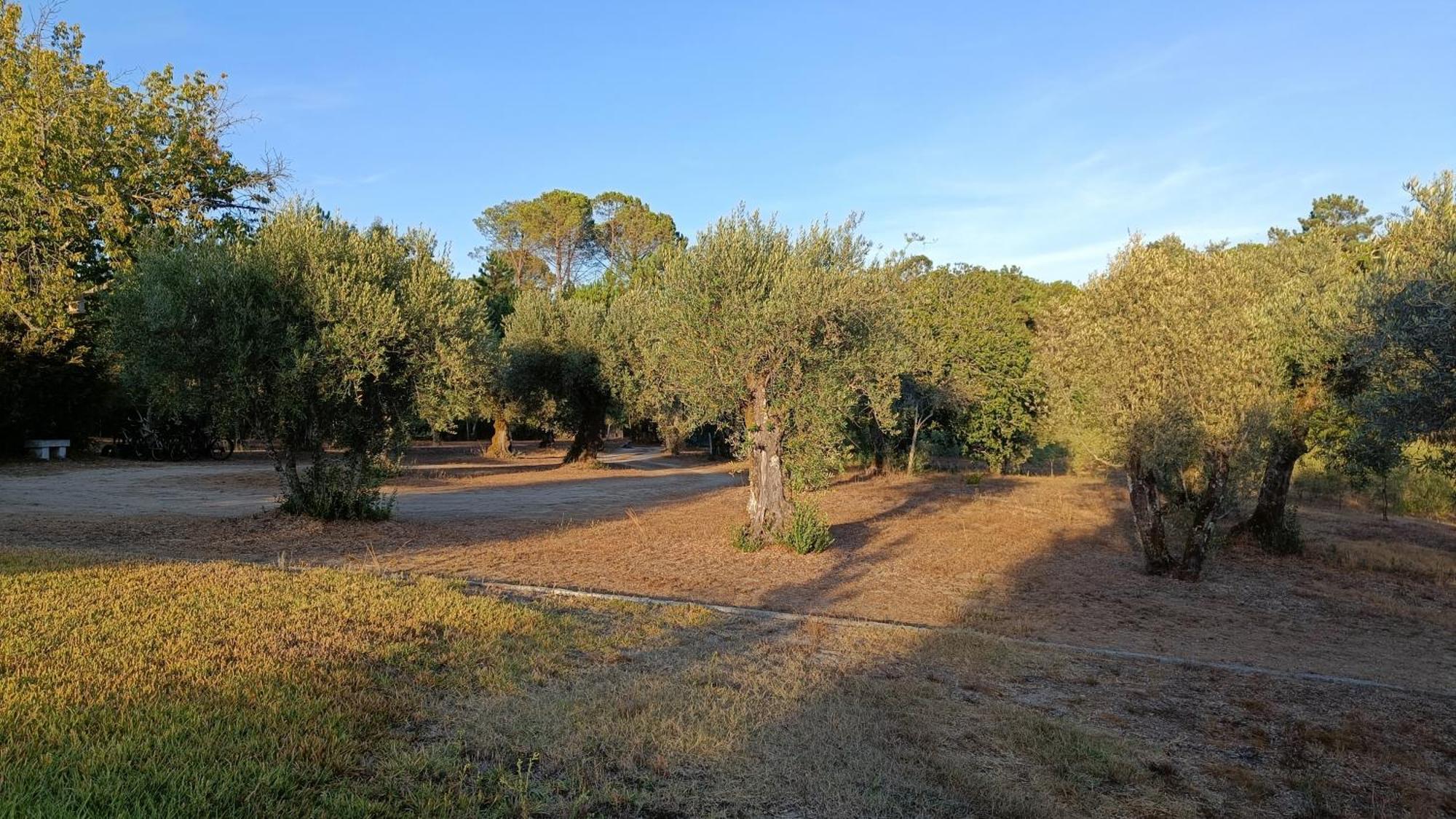 Quinta Da Pedra Mija Pension Santar Buitenkant foto