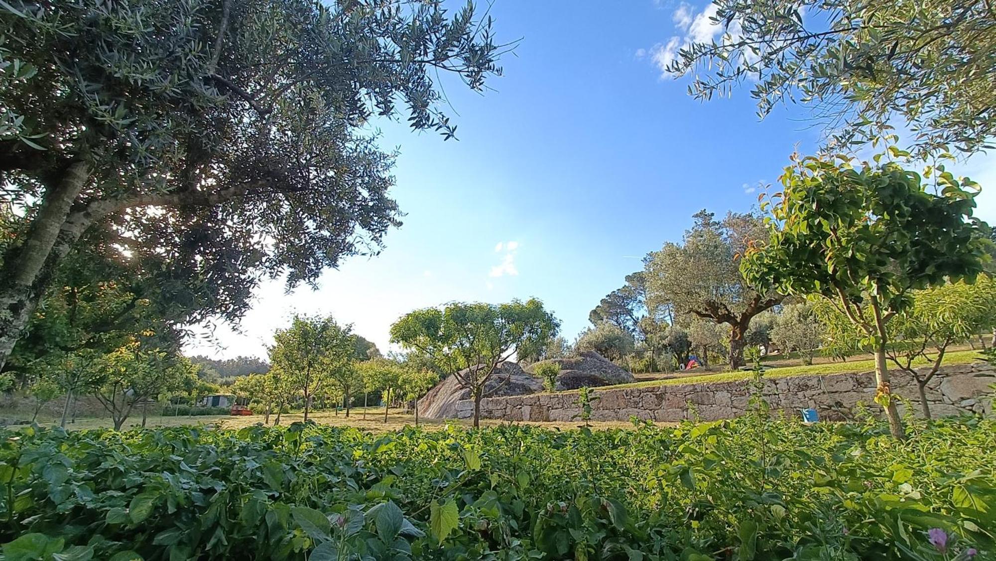 Quinta Da Pedra Mija Pension Santar Buitenkant foto