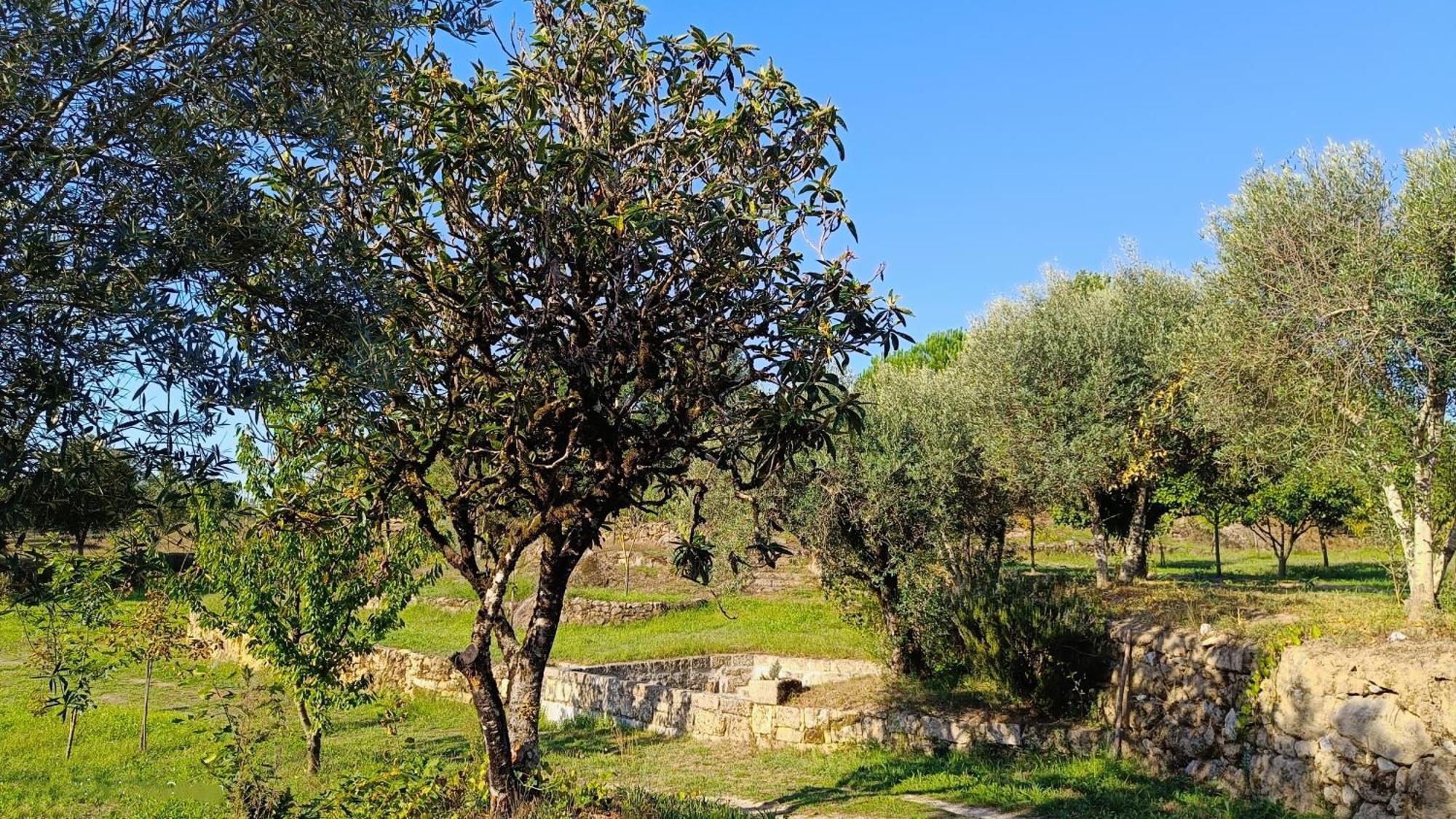 Quinta Da Pedra Mija Pension Santar Buitenkant foto