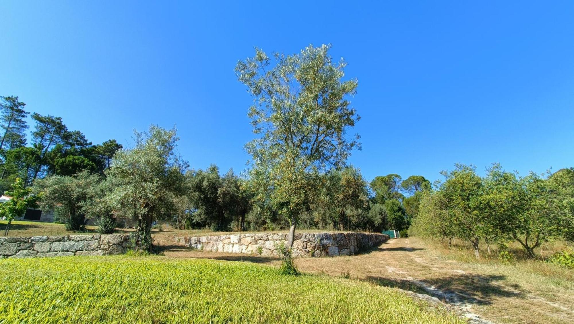 Quinta Da Pedra Mija Pension Santar Buitenkant foto